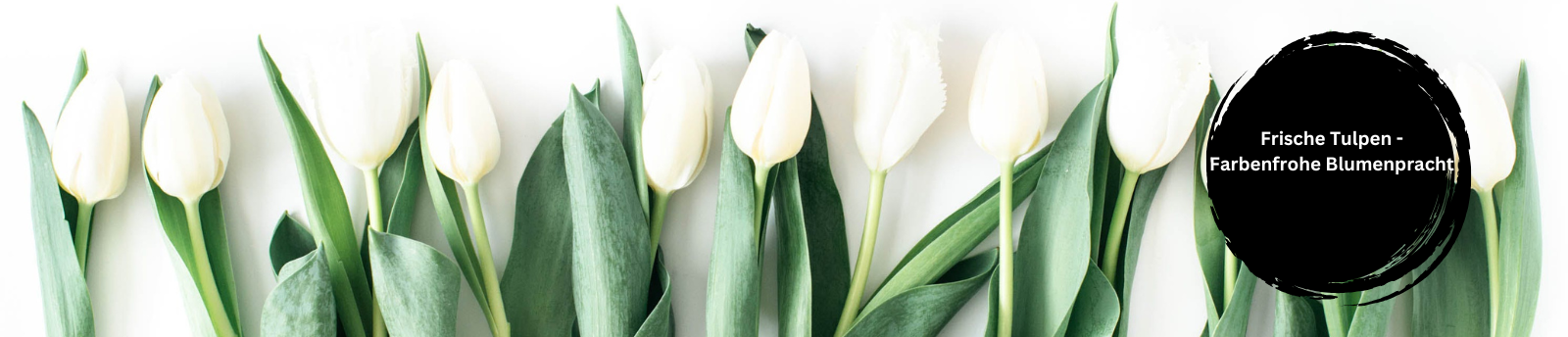 Tulpen, die den Frühling bringen